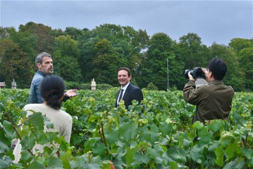 Clément Pierlot beim Fotoshooting im Weingarten