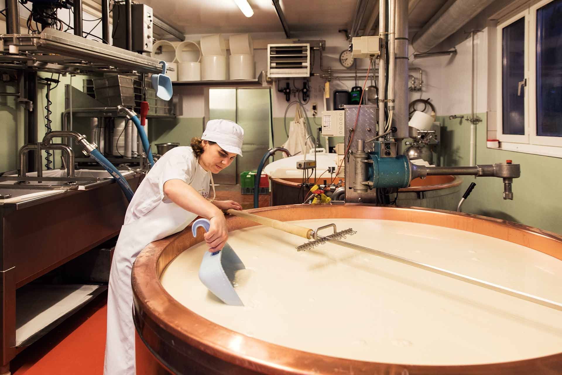 In der Käserei Girenbad im Zürcher Oberland wird das Käsehandwerk gepflegt. Die Laibe aus der Manufaktur werden von Gourmets gefeiert.&nbsp;