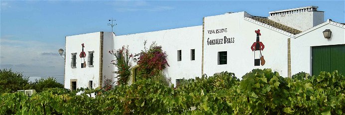 González Byass besitzt 800 Hektar in Jerez. Die Viña Esteve verfügt über Weingärten mit Pedro-Ximénez-Reben.