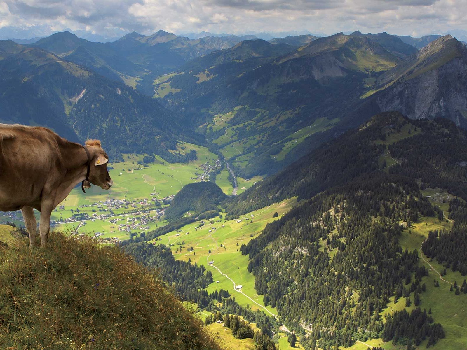 Auf dem Diedamskopf mit Blick auf Au und Kanisfluh. Die Käse­produktion trägt zur Pflege der Vorarlberger Naturlandschaft bei.