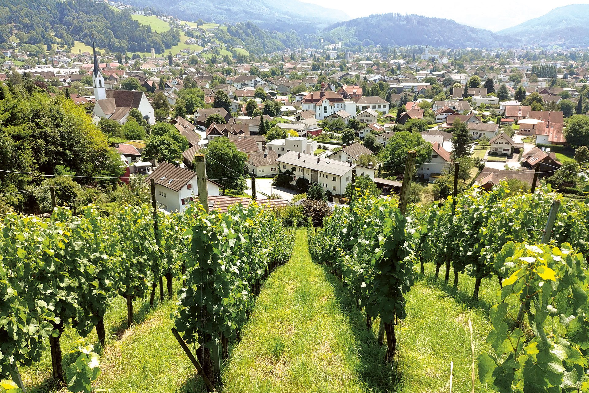 Michael Nachbaur pflegt seine Weingärten mit Blick auf Röthis.