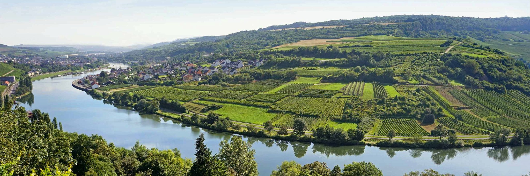 Weinbau in Luxemburg: Auch die Obermosel zieht Schleifen wie hier an der Grenze zu Deutschland.