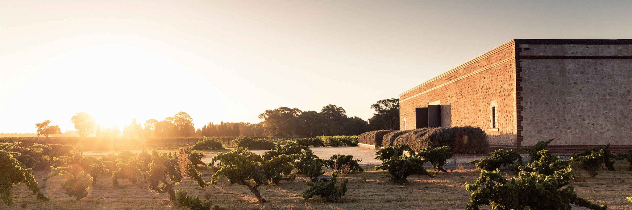 Der Name Barossa steht für Australiens berühmteste Weinbauregion.&nbsp;