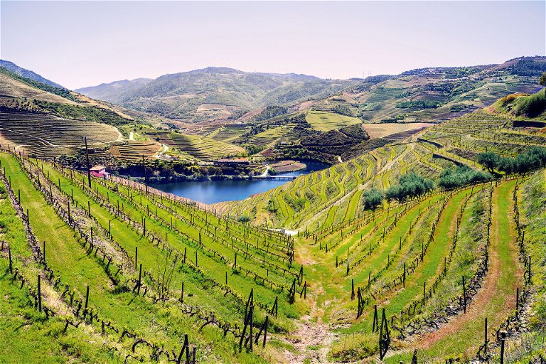Das Douro-Tal im Norden Portugals gilt als eines der ältesten klassifizierten Weinanbaugebiete der Welt.