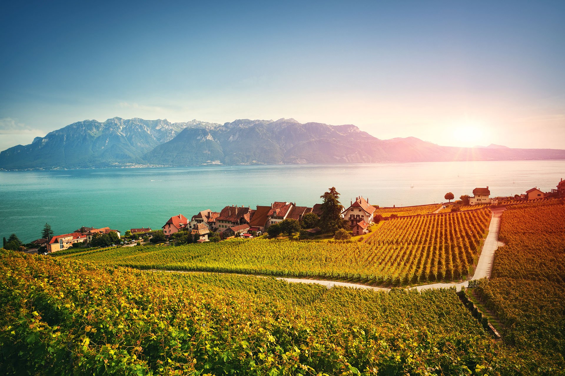 Lavaux ist mit mehr als 800 Hektar das größte zusammenhängende Weinbaugebiet der Schweiz. Seit 2007 stehen die Terrassen unter dem Schutz der UNESCO.