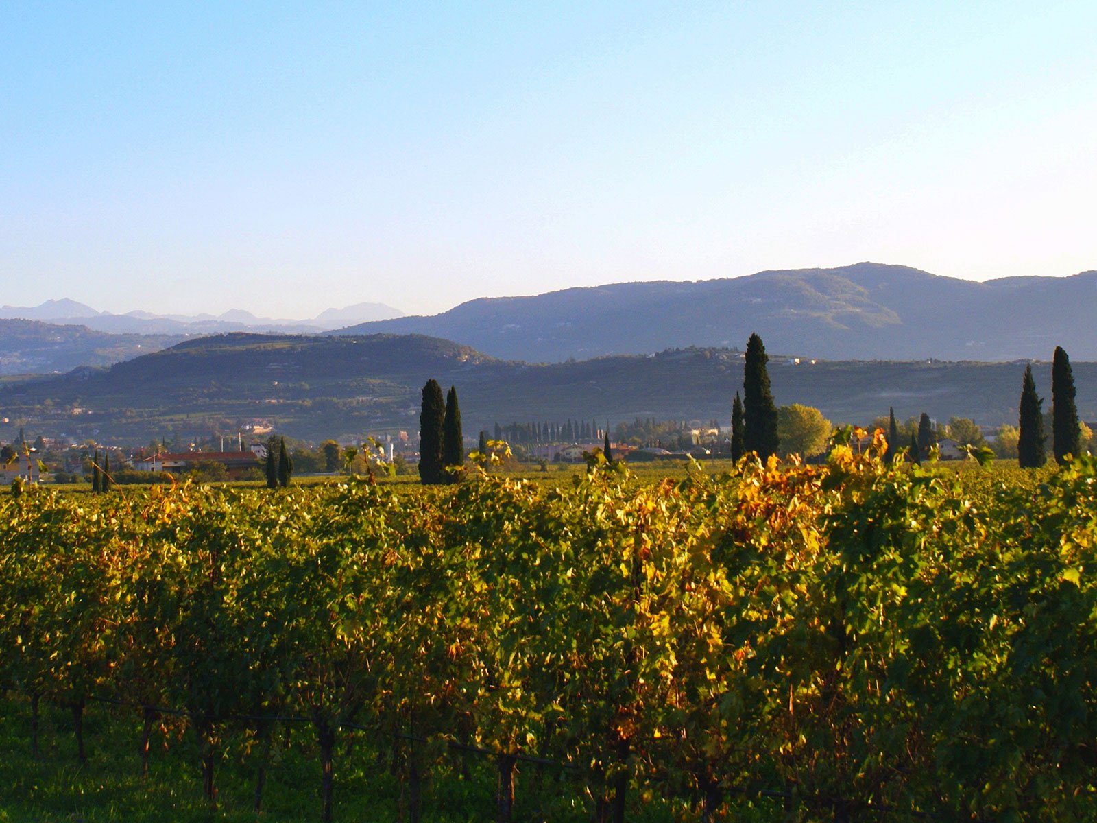 Das italienische Weinbaugebiet Valpolicella