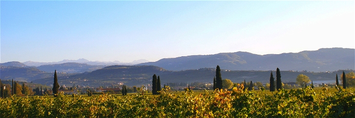 Das italienische Weinbaugebiet Valpolicella
