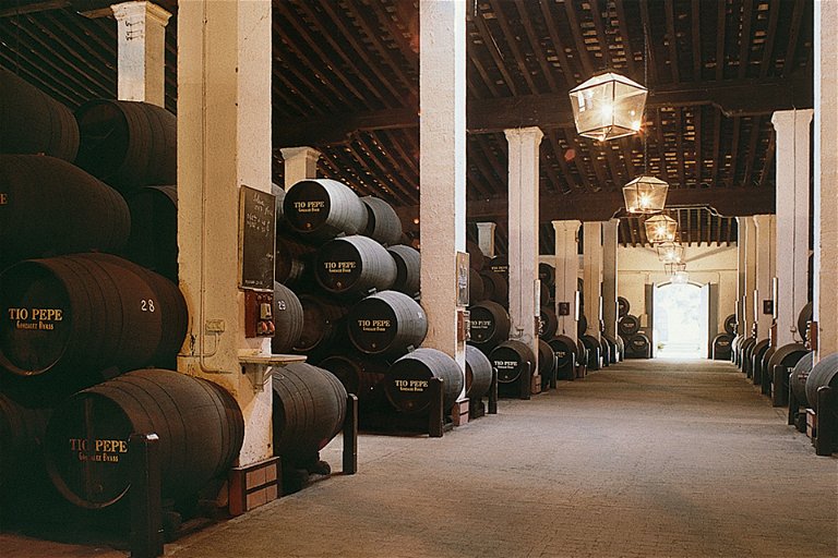 Alvaro Palacios hat im spanischen Weinland wichtige Akzente gesetzt. Zuerst in Priorato, dann in Bierzo und heute in seiner Heimat Rioja Baja.