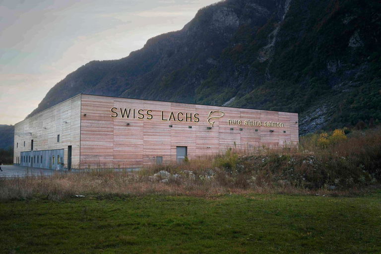 Swiss Lachs Farm