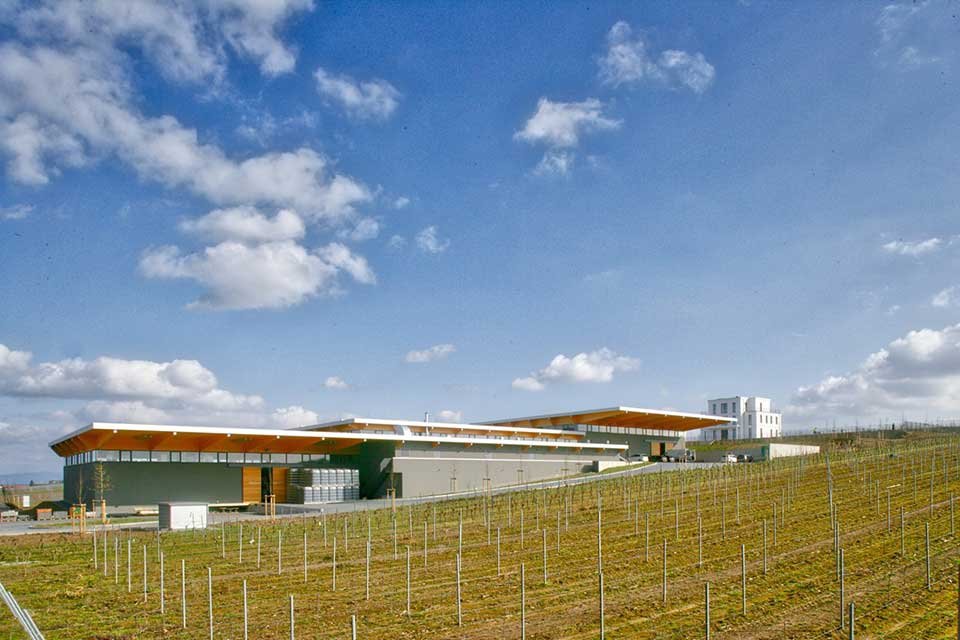 Das neue Weingutsgebäude liegt inmitten von Weinbergen.