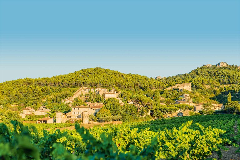 In sonnendurchfluteten Weingärten wachsen die Trauben für den langlebigen Châteauneuf-du-Pape.