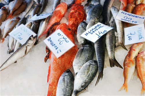 Ein lebendiger Fischmarkt in Nafplio.