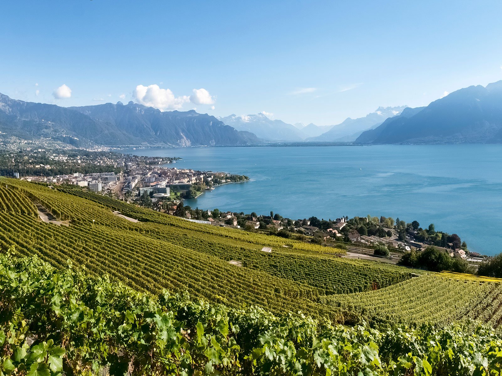 Das Waadtland ist das zweitgrösste Weinbaugebiet der Schweiz.