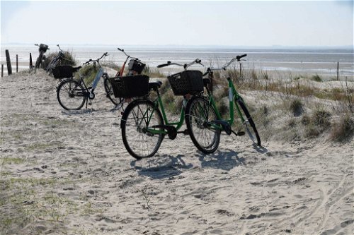 Mit dem Fahrrad durch den Dünensand.&nbsp;