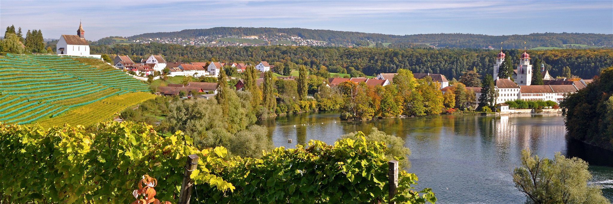 Blick von der Lage Chorb in Rheinau auf die Klosterinsel und die Rheinschleife.