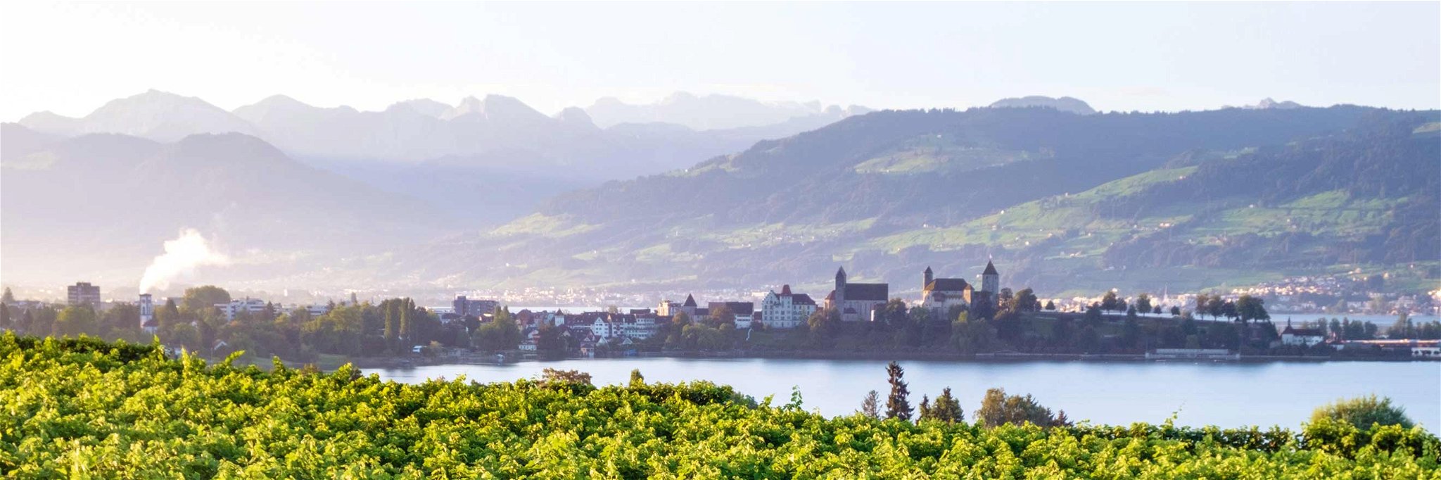 Weingut Höcklistein am Zürichsee im Kanton St. Gallen: größtes Weingut am See.