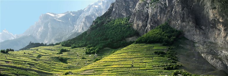 Blick auf die Walliser Alpen. Hier pflanzte der Winzer Chosy Chanton schon vor knapp 30 Jahren Riesling.