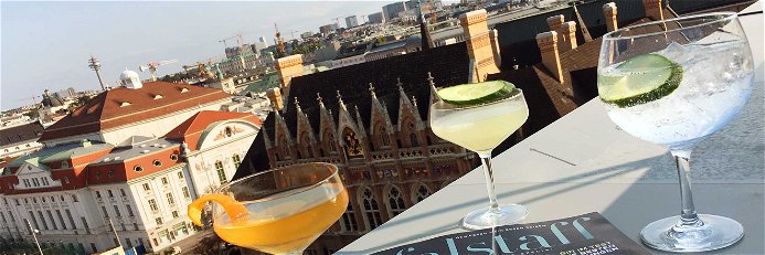 Das neue Falstaff Gin Special wurde mit Blick über Wien in der Atmosphere Rooftop Bar im The Ritz-Carlton, Vienna präsentiert.
