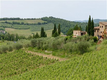 Das Chianti-Gebiet gilt als das Herzstück der Toskana