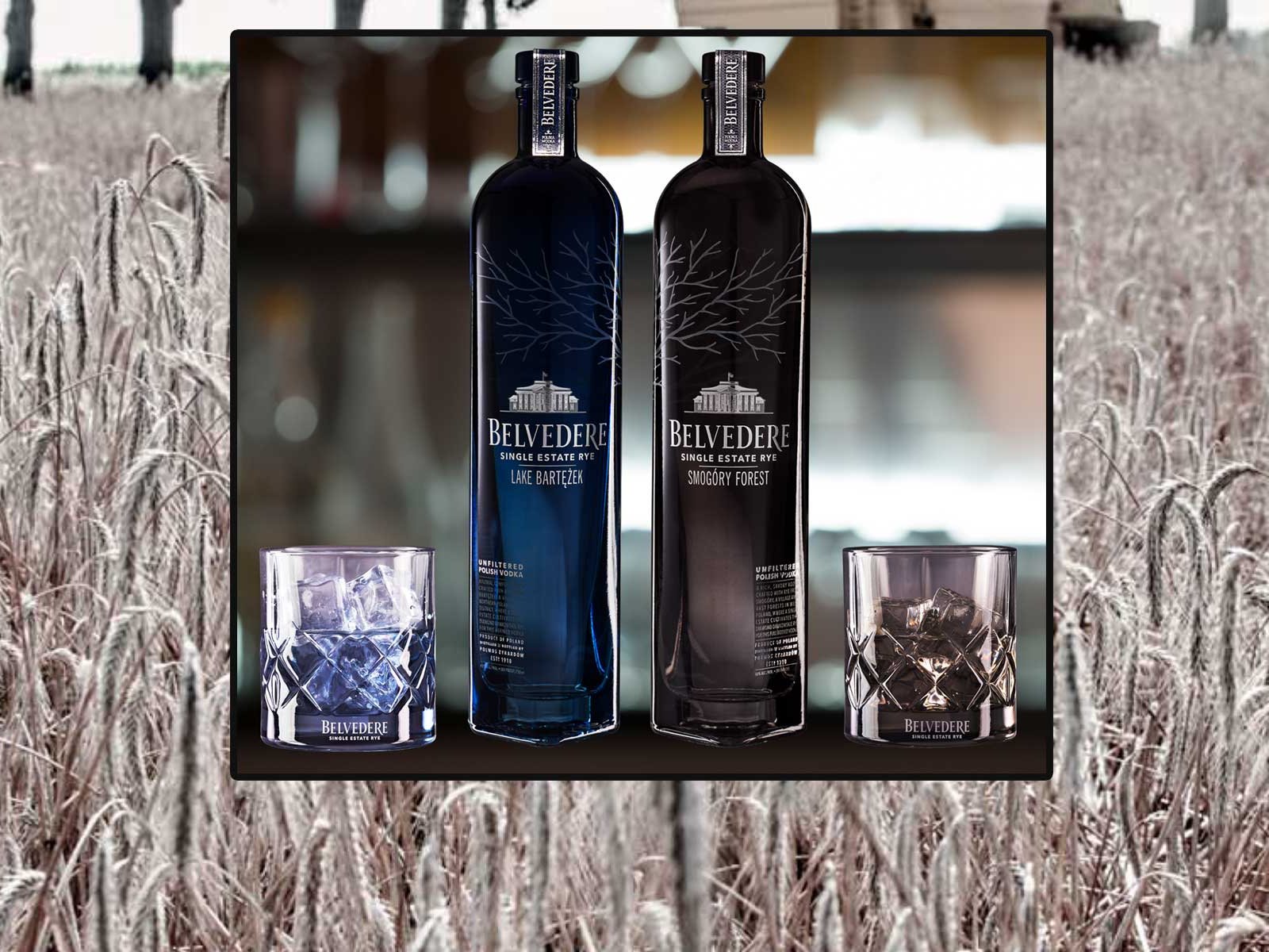Belvedere Vodka hat sein Portfolio um zwei Single Estate Rye Produkte erweitert.