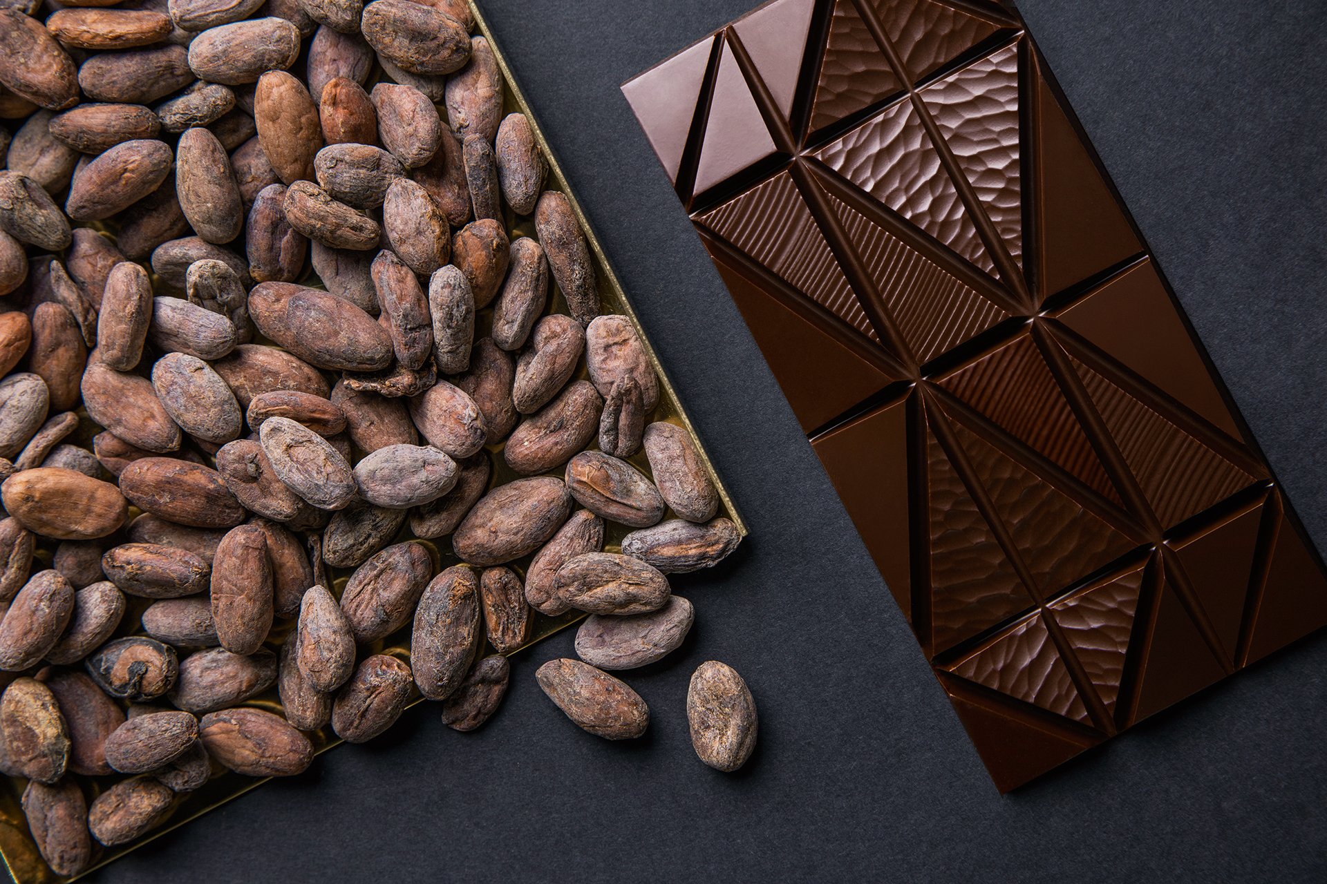 Garçoa Schokolade: nur sortenreiner Kakao