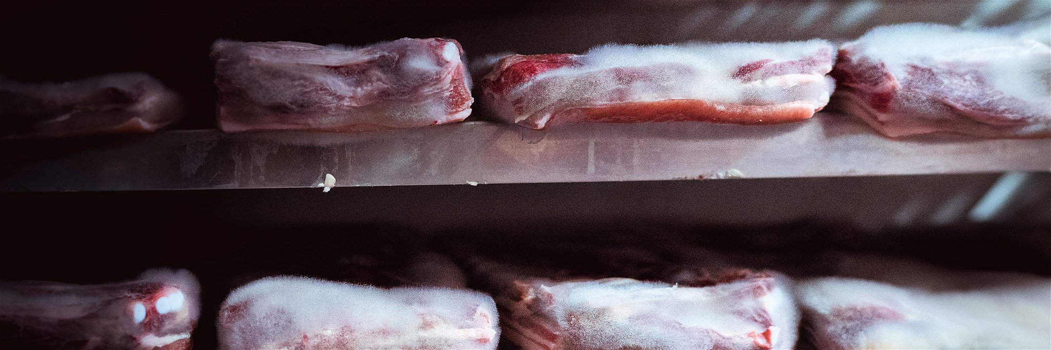 Höchste Fleischqualität dank Edelschimmel. Bei Luma reift das Fleisch Wochen unter einem dichten Pelz. 