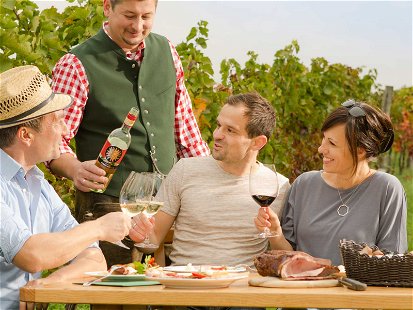 In Niederösterreich wird in den kommenden Wochen der Weinherbst zelebriert. 