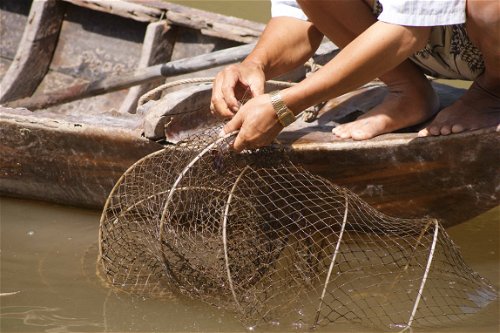Im Mekong Delta wird ausschließlich eine extensive Aquakultur betrieben.