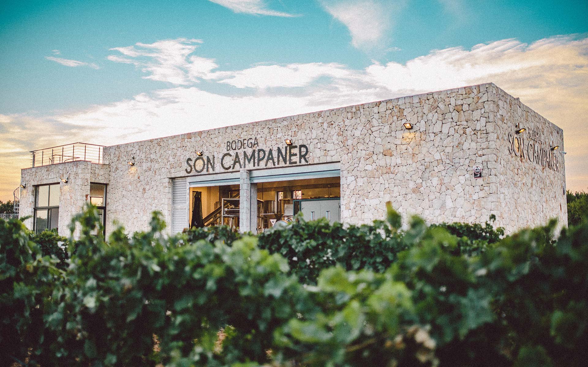 Auch am Reiseplan: Eine Führung und Verkostung am Weingut »Bodega Son Campaner« in Sencelles, eines der jüngsten Weingüter Mallorcas.