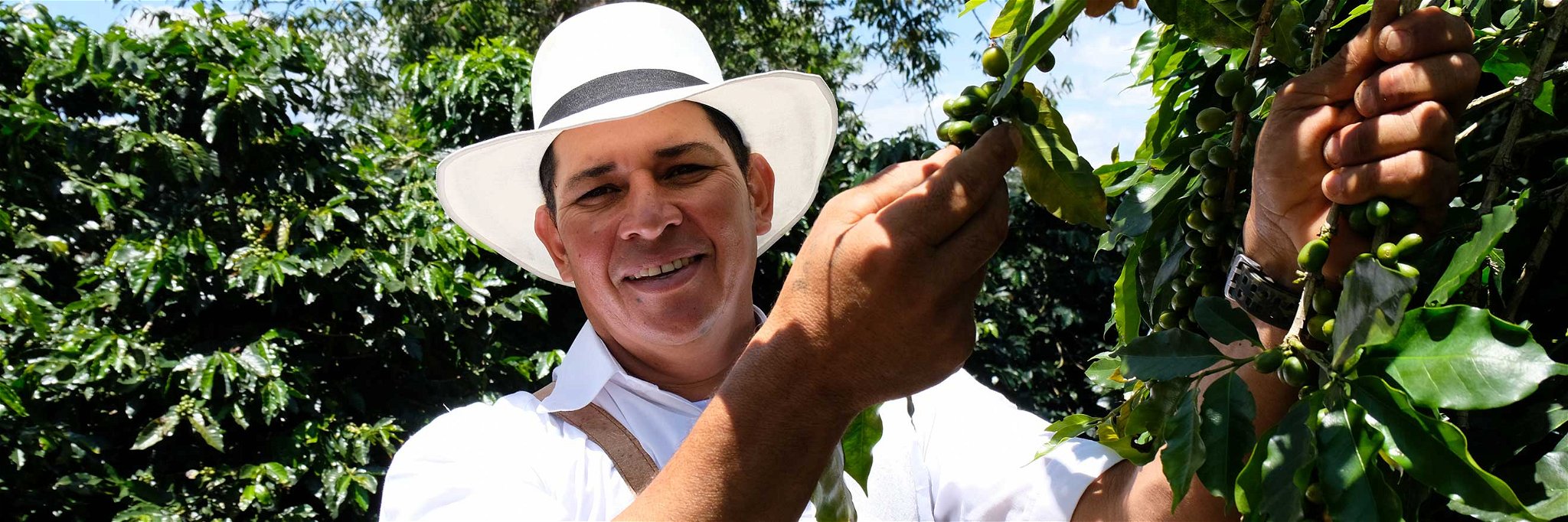 Uriel Jiminez Aguirre inspiziert die Bohnen auf dem Kaffeefeld.