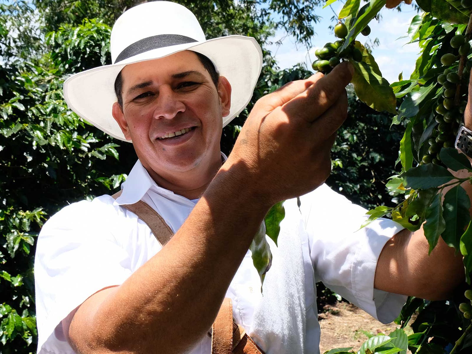 Uriel Jiminez Aguirre inspiziert die Bohnen auf dem Kaffeefeld.