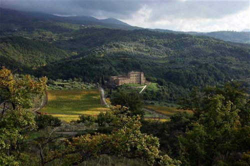 In der Region Montecucco wird auf&nbsp; 800 Hektar Wein angebaut. 