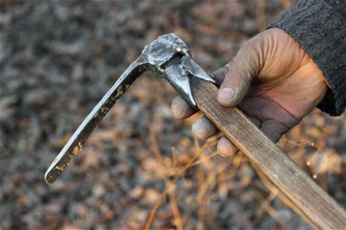 Hauptarbeitsgerät der «trifolai» ist der «zappino», eine Art Harke, mit der sie den Boden auflockern. 