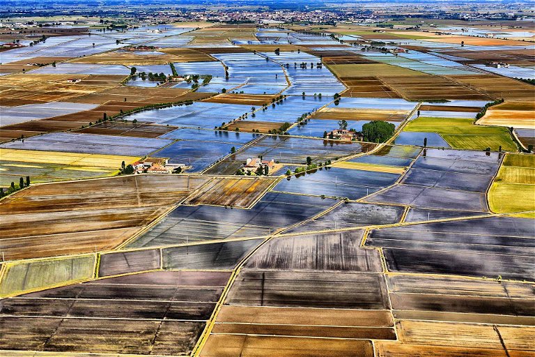 Die Reisfelder in Vercelli. 