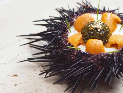 Hotspot in Singapur: Das »Waku Ghin by Tetsuya Wakuda« mit einem grandiosen Seeigel-Gericht und zwei Michelin-Sternen.