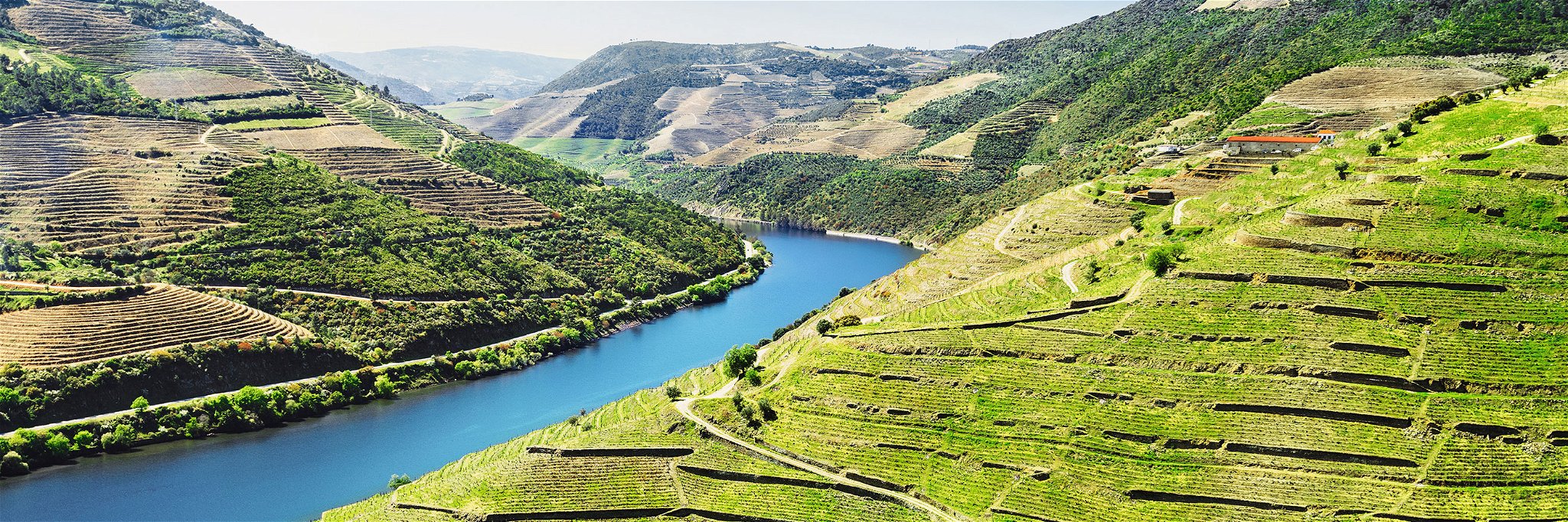 Das Douro-Tal ist eines der grössten und bekanntesten Weinbaugebiete.
