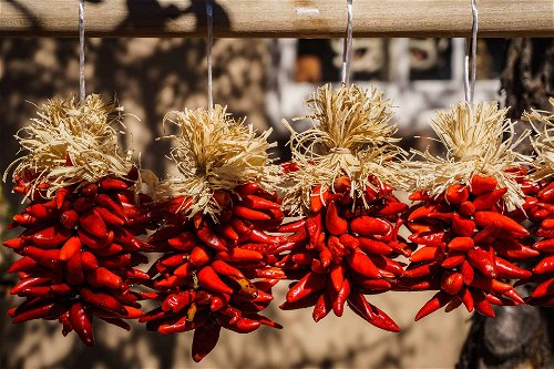 Chilis sind ein fixer Bestandteil der mexikanischen Küche und auf jedem Markt zu finden.