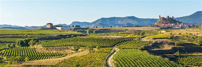 Die Rioja umfasst drei Untergebiete: Rioja Alta, Rioja Baja und Rioja Alavesa.