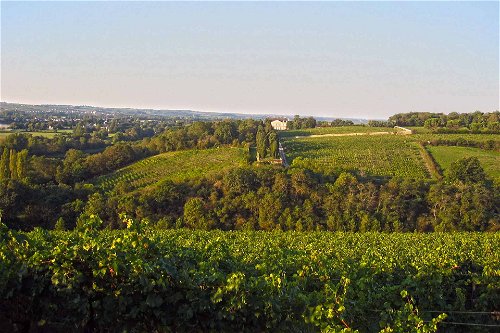 Die Grand-Cru-Lage Coulée de Serrant ist ein Monopol der Familie Joly, die hier aus Chenin Blanc den vielleicht berühmtesten biodynamischen Weisswein der Welt erzeugt.