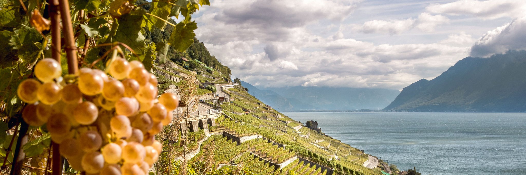 Die Weinlandschaft des Lavaux&nbsp; am Genfersee gehört seit 2007 zum Weltkulturerbe der Unesco.