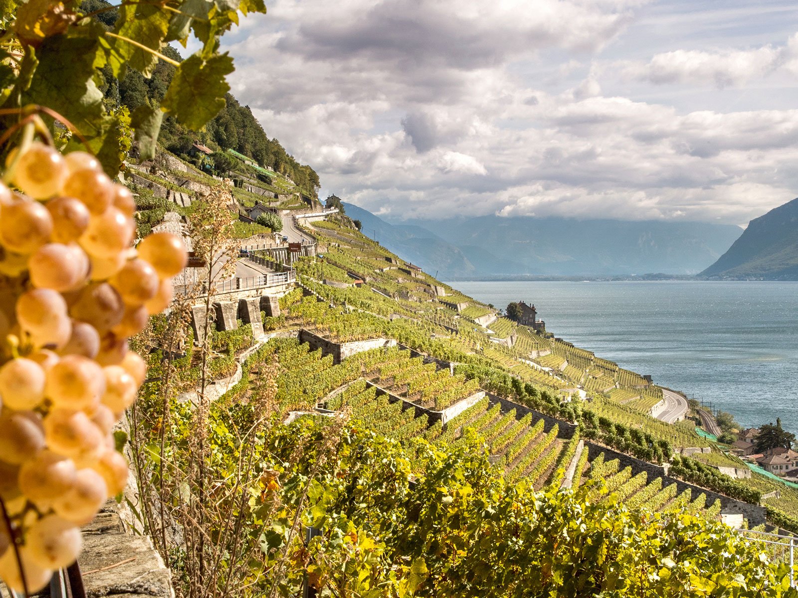 Die Weinlandschaft des Lavaux&nbsp; am Genfersee gehört seit 2007 zum Weltkulturerbe der Unesco.