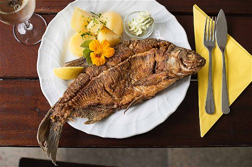 Beim »Gasthof &amp; Hotel Luger« werden feine Fische aus der Donau serviert.