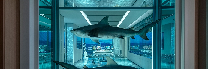 Zwei in Formaldehyd eingelegte Haie zieren den «Gaming Room» der Empathy Suite. 