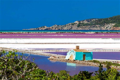 Sal de Ibiza: Die Salzgewinnungsanlage mit dem schicken Namen der Party-Insel gehört dem Deutschen Daniel Witte. Die Salzblumen werden mittlerweile in die ganze Welt bis nach Japan exportiert. Eines der bekanntesten Fleur-de-Sel-Produkte auf dem Markt.