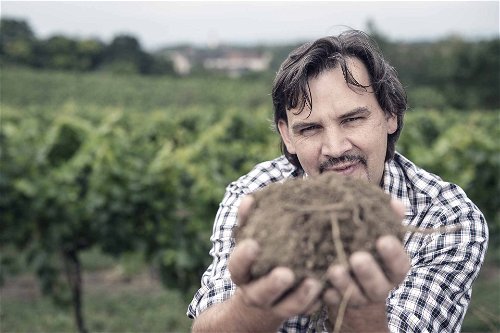 Biodynamiker Karl Fritsch vom gleichnamigen Weingut aus Oberstockstall am Wagram keltert für seinen Pinot Noir mit dem Kürzel »P« für Perfektion die besten Trauben von Lössböden.