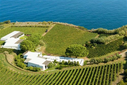 Weinbau an der Steilküste: das Weingut Capofaro auf der Insel Salina.
