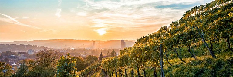 Blick auf die Stadt Winterthur. Hier in der Region fanden die Offenen Weinkeller zum allerersten Mal statt. Mittlerweile gibt es die Veranstaltung in der ganzen Deutschschweiz.