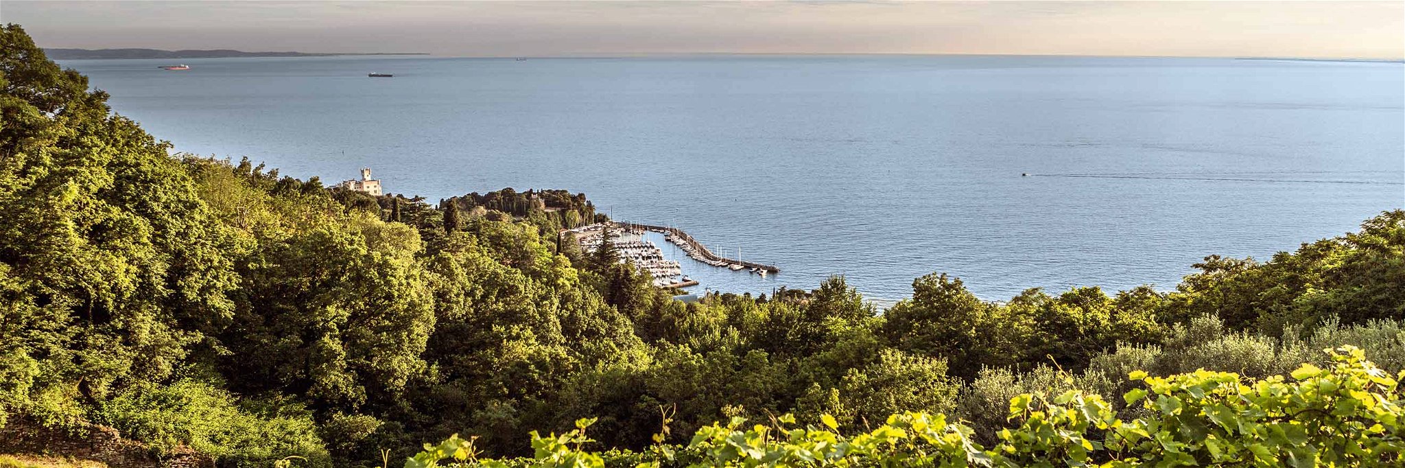 Wein- und Ölkompetenz hat seit 1898 einen Namen in Triest: Parovel in San Dorligo della Valle.