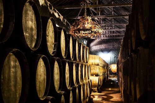 Auf der wunderschönen Halbinsel Setúbal produziert das Weingut José Maria da Fonseca Weine, die mitunter bis zu 80 Jahre lang in den Kellern des historischen Hauses reiften.