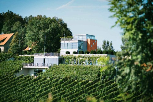 In den Berg gebaut: Das 2003 völlig neu errichtete Weingut bekrönt die Ried Zieregg.
